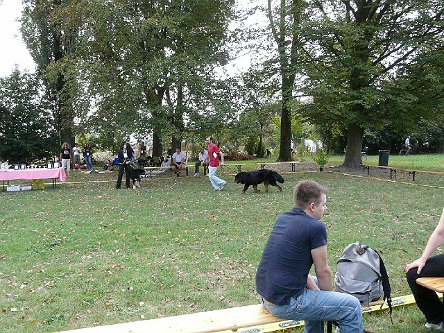img 062.jpg